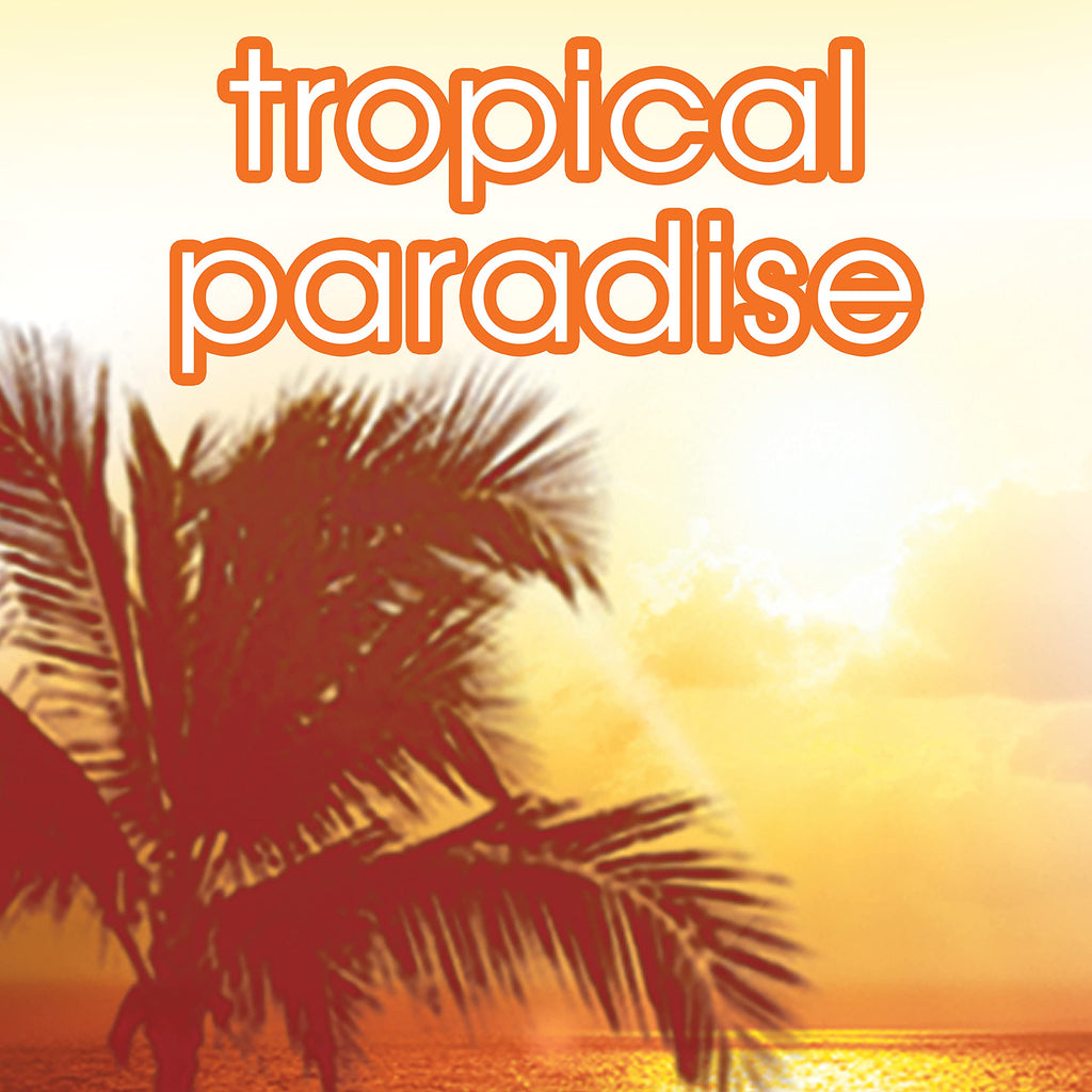 Suave Tropical Paradise Invisible Solid Deodorant — Pack of 12 (2.6 oz each)