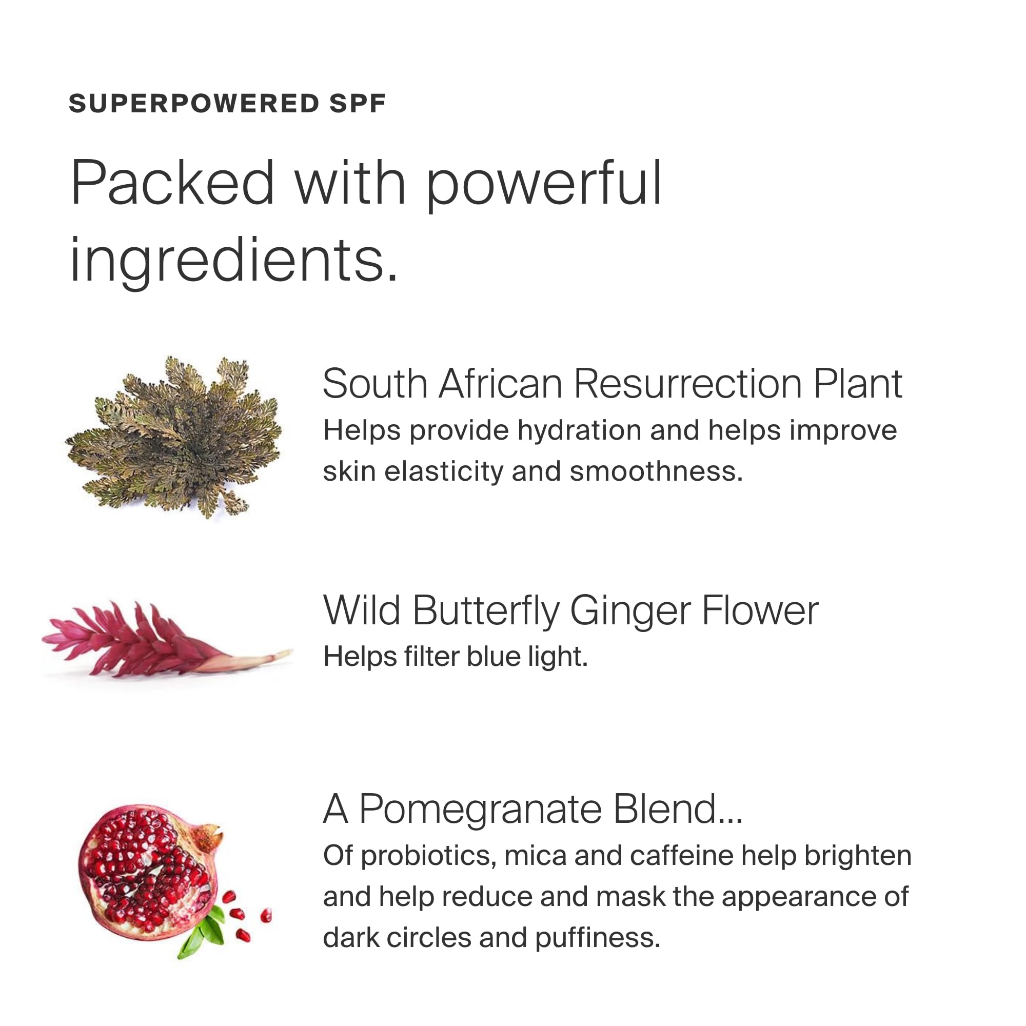 Supergoop! Bright-Eyed Mineral Eye Cream SPF 40 PA+++ — Hydrating & Illuminating Eye Treatment (Pack of 2)