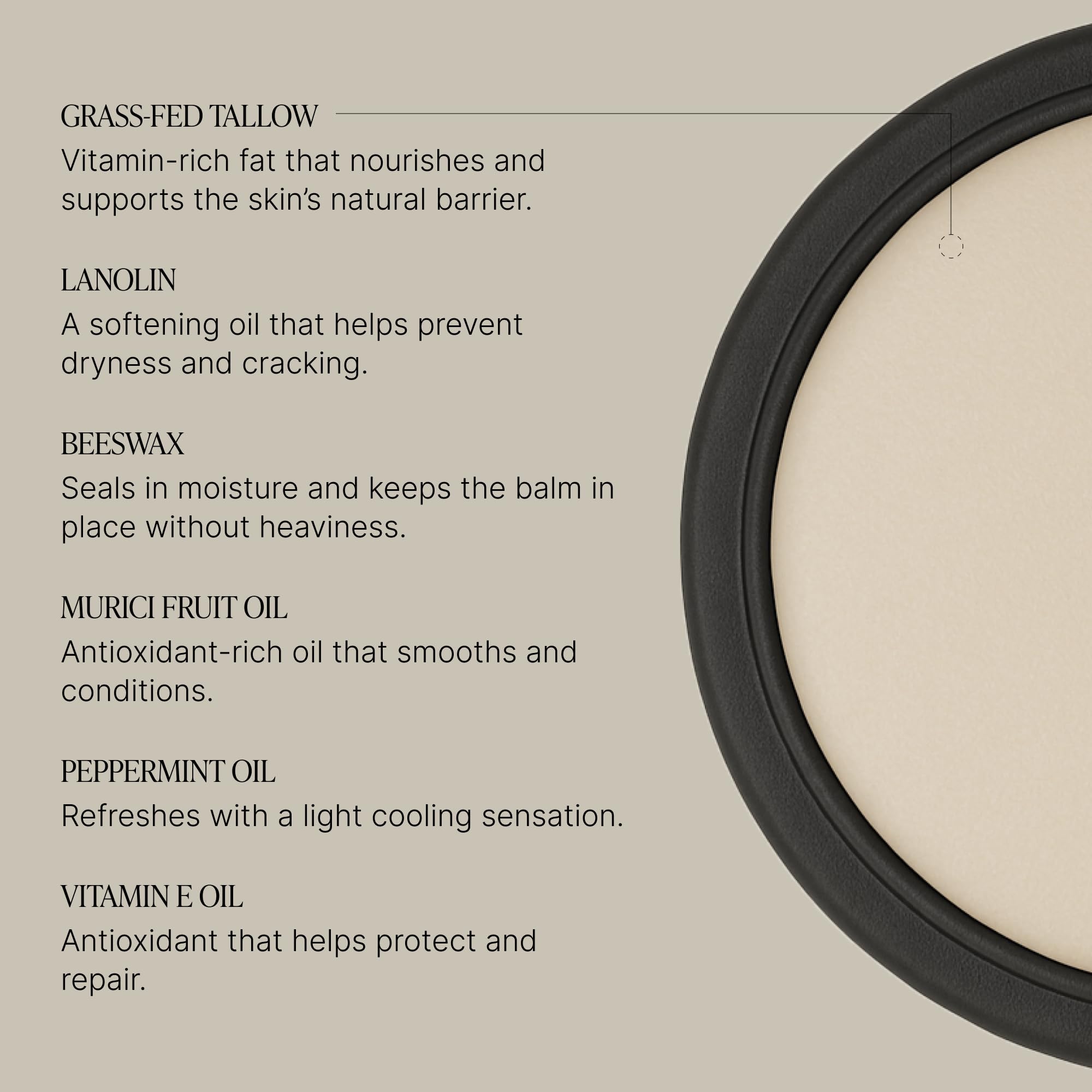TALOVA Peppermint Grass-Fed Tallow Lip Balm – Overnight Lip Mask with Vitamins A, D, E, and K