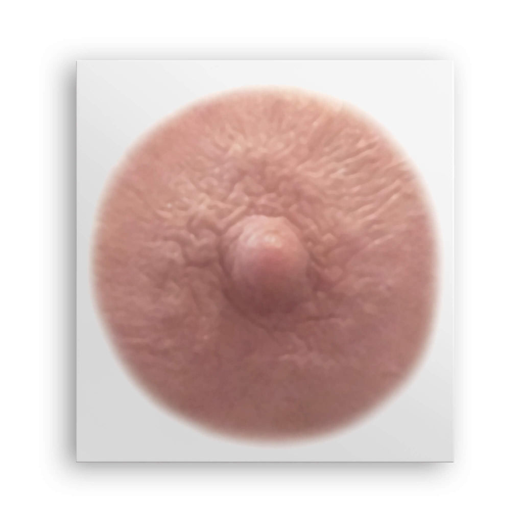 TataTattoos Temporary Realistic Nipple & Areola Tattoos – Non-Surgical Mastectomy Recovery (Auburn, Small Pack of 10)