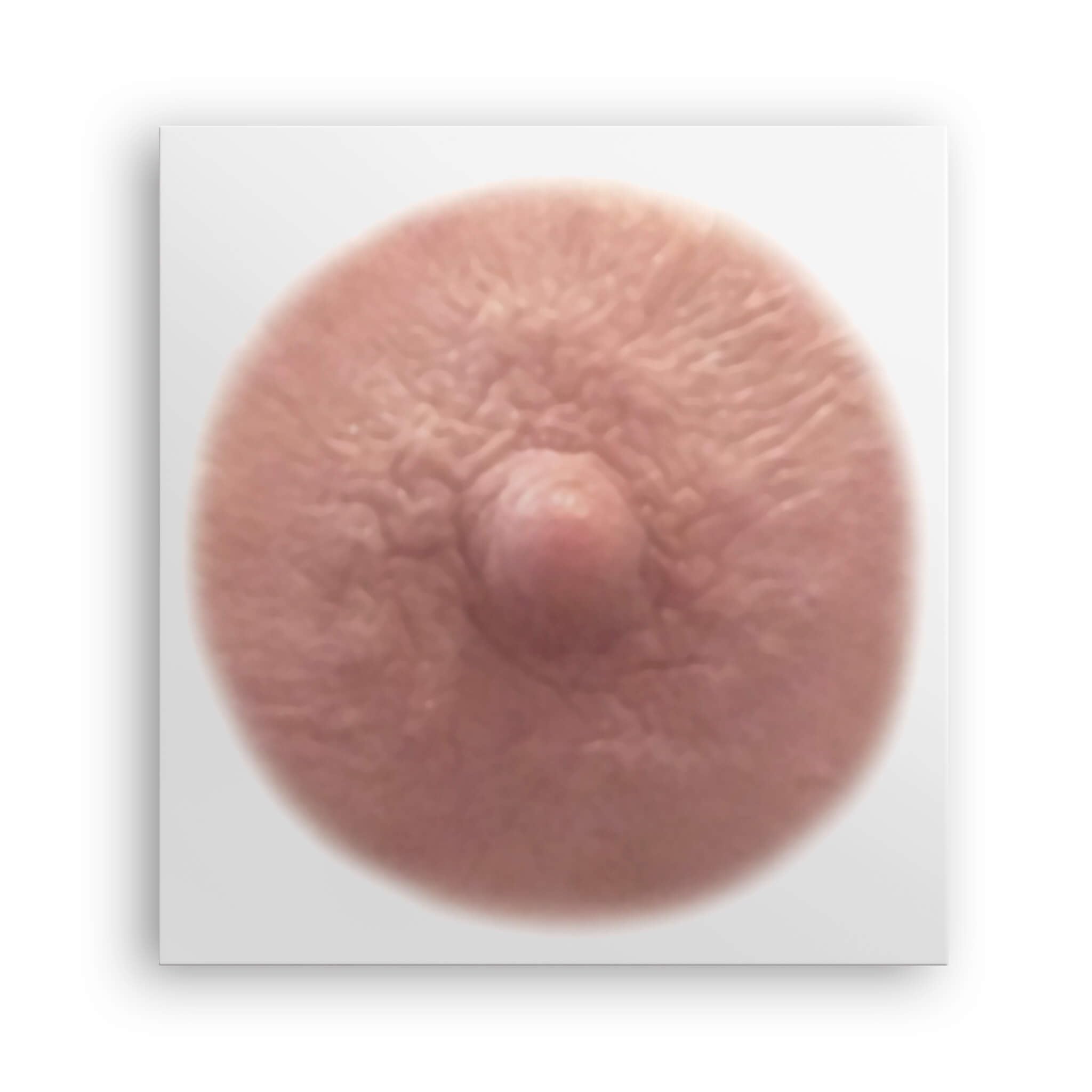 TataTattoos Temporary Realistic Nipple & Areola Tattoos – Non-Surgical Mastectomy Recovery (Auburn, Small Pack of 10)
