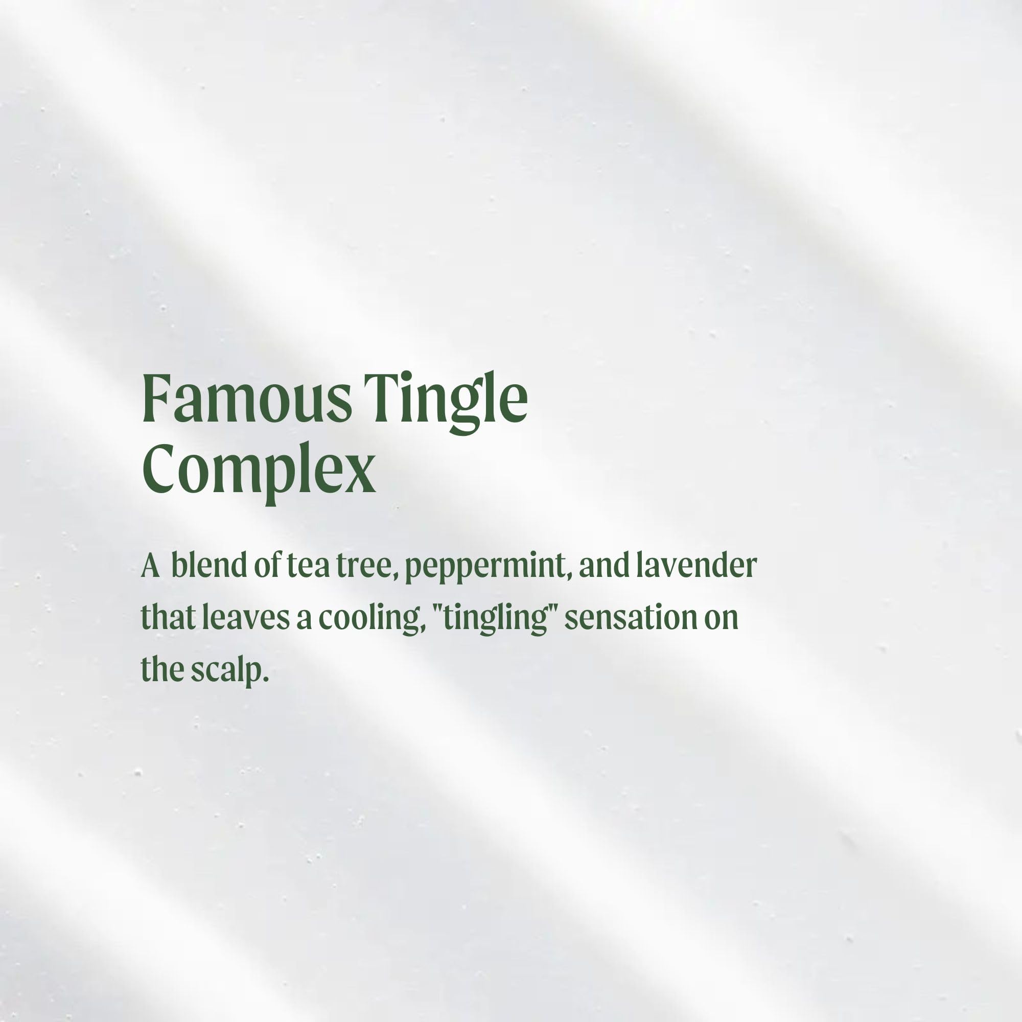 Tea Tree Special Conditioner - Detangles, Smooths & Softens | All Hair Types, 16.9 fl oz