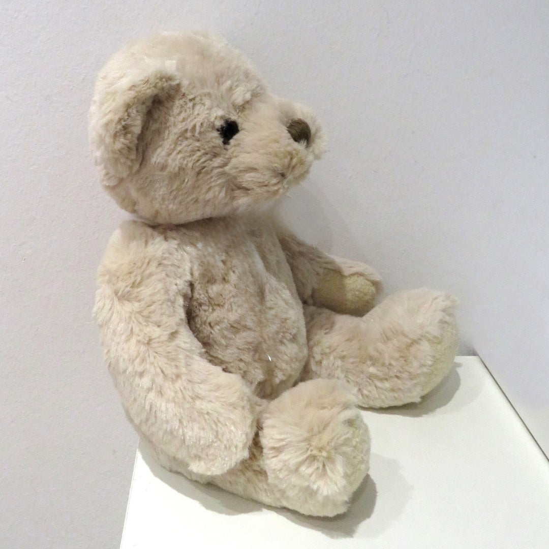 Personalised Luxury Teddy Bear with Ballet Bunny T-Shirt