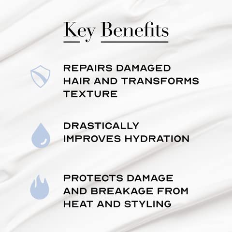The Cleanest Lab Hair Mask – Dry, Colored & Damaged Hair Repair (8 oz)