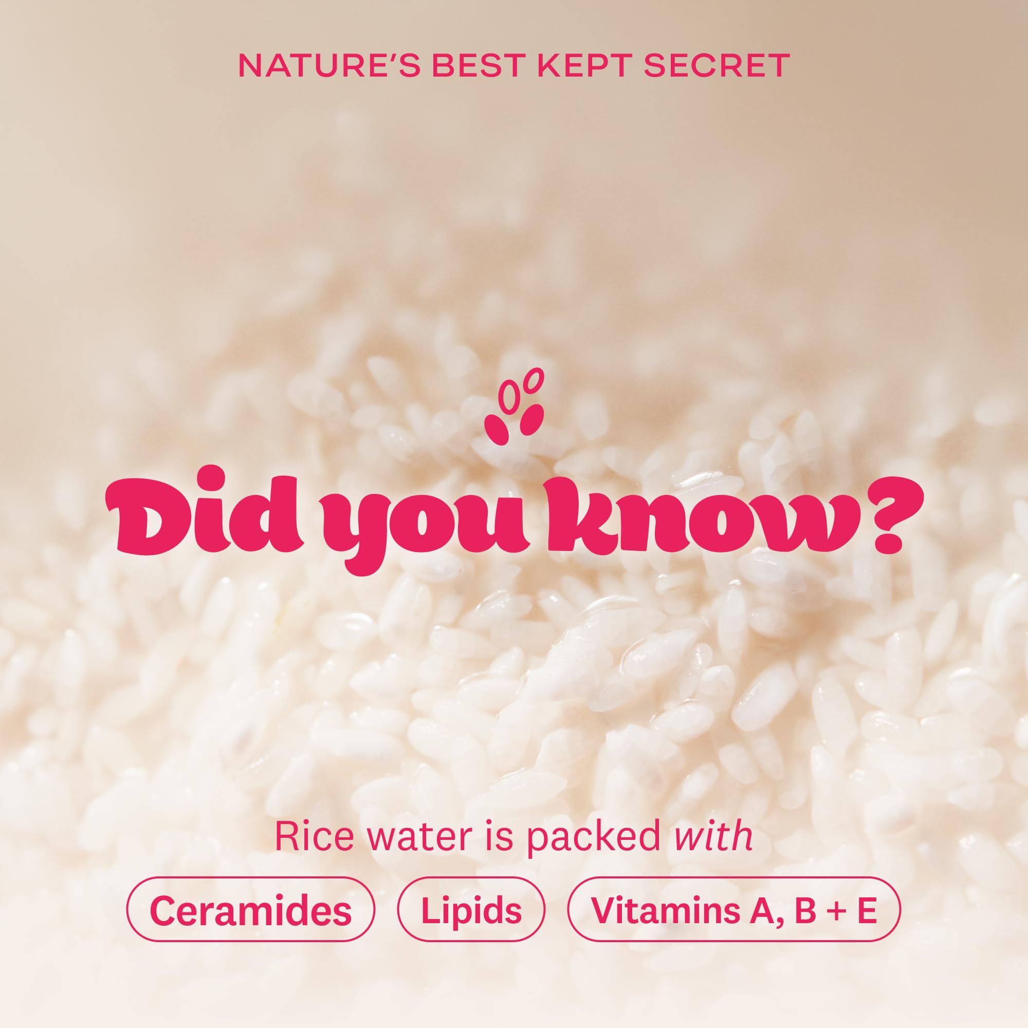 The Face Shop x Glamzilla Rice Water Bright Cleansing Wipes – 3-Pack, 25 Count Each