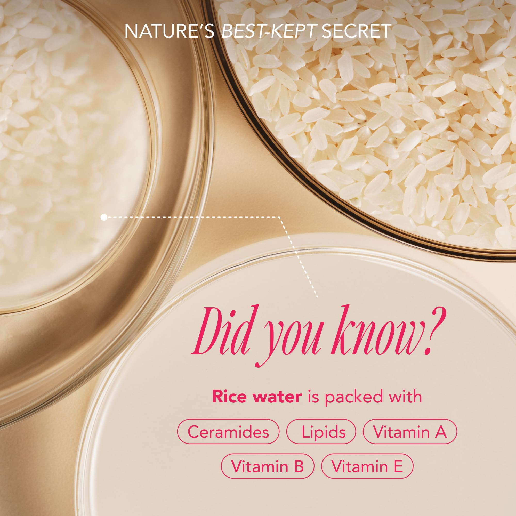 The Face Shop Rice Water Bright Travel Kit – TSA-Approved Korean Skincare Set (Ceramide, Vegan)