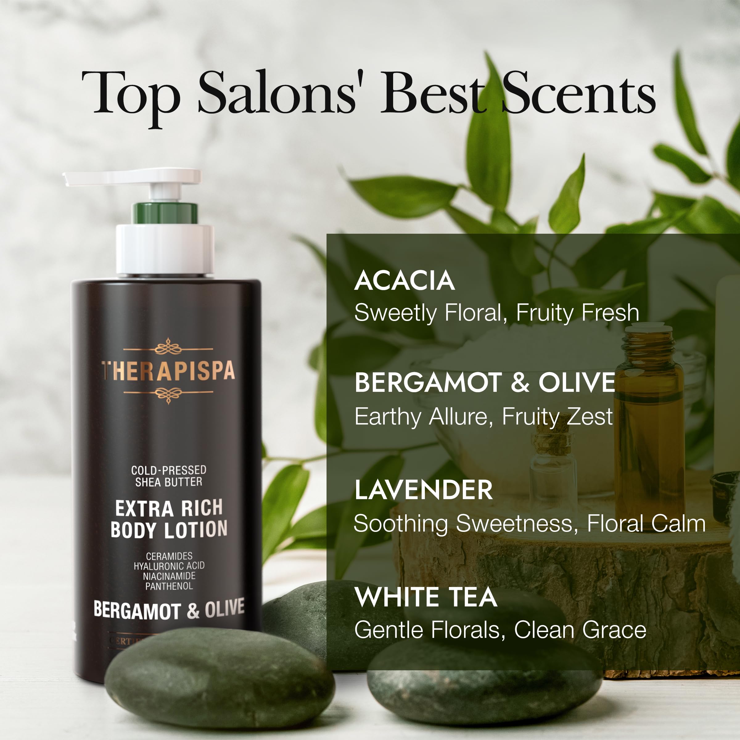 THERAPISPA Scented Body Lotion – Bergamot & Olive, 17.0 fl oz | Deep Hydration with Shea Butter, Ceramides & Panthenol