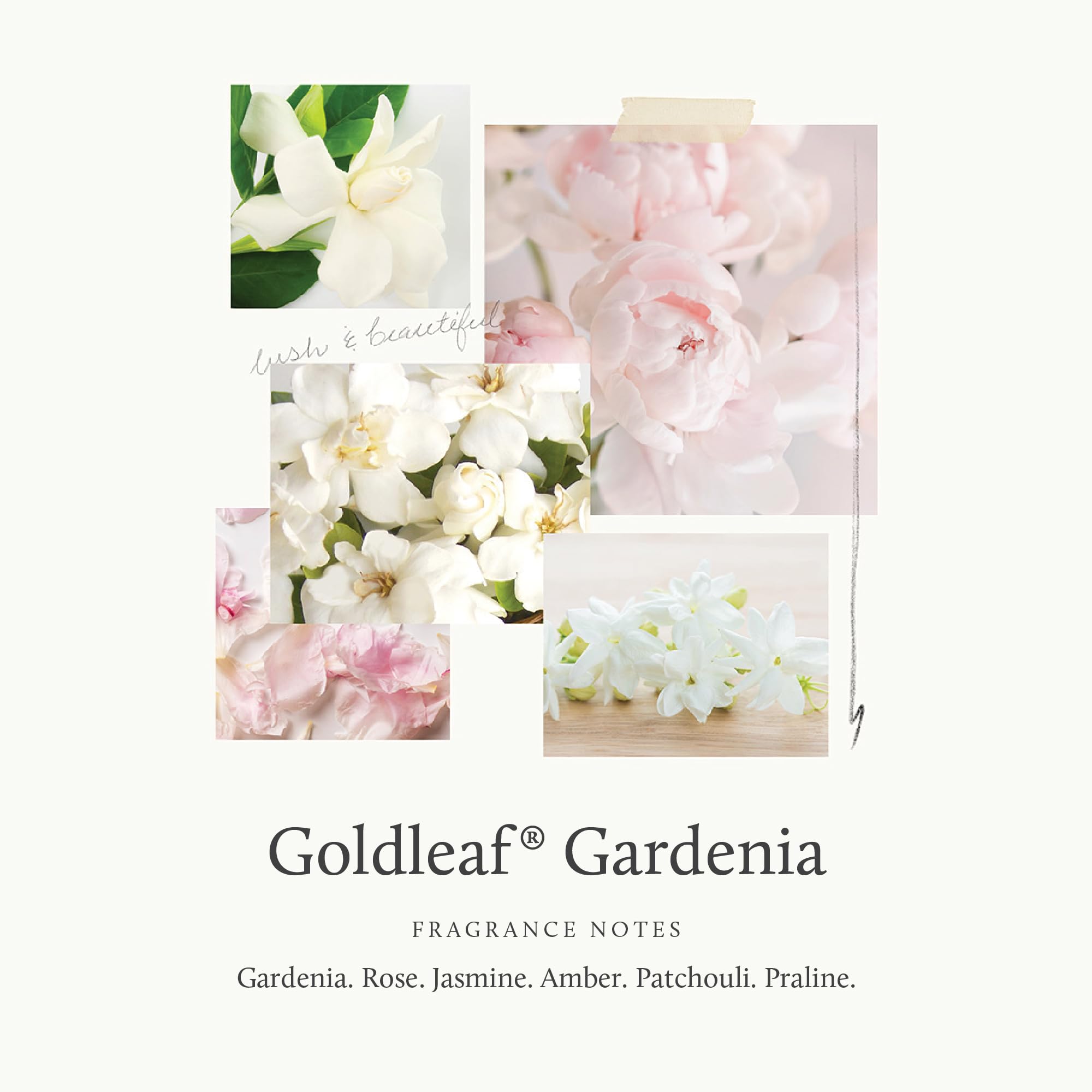 Thymes Hand Lotion Gold Pump – Goldleaf Gardenia, 8.25 Fl Oz