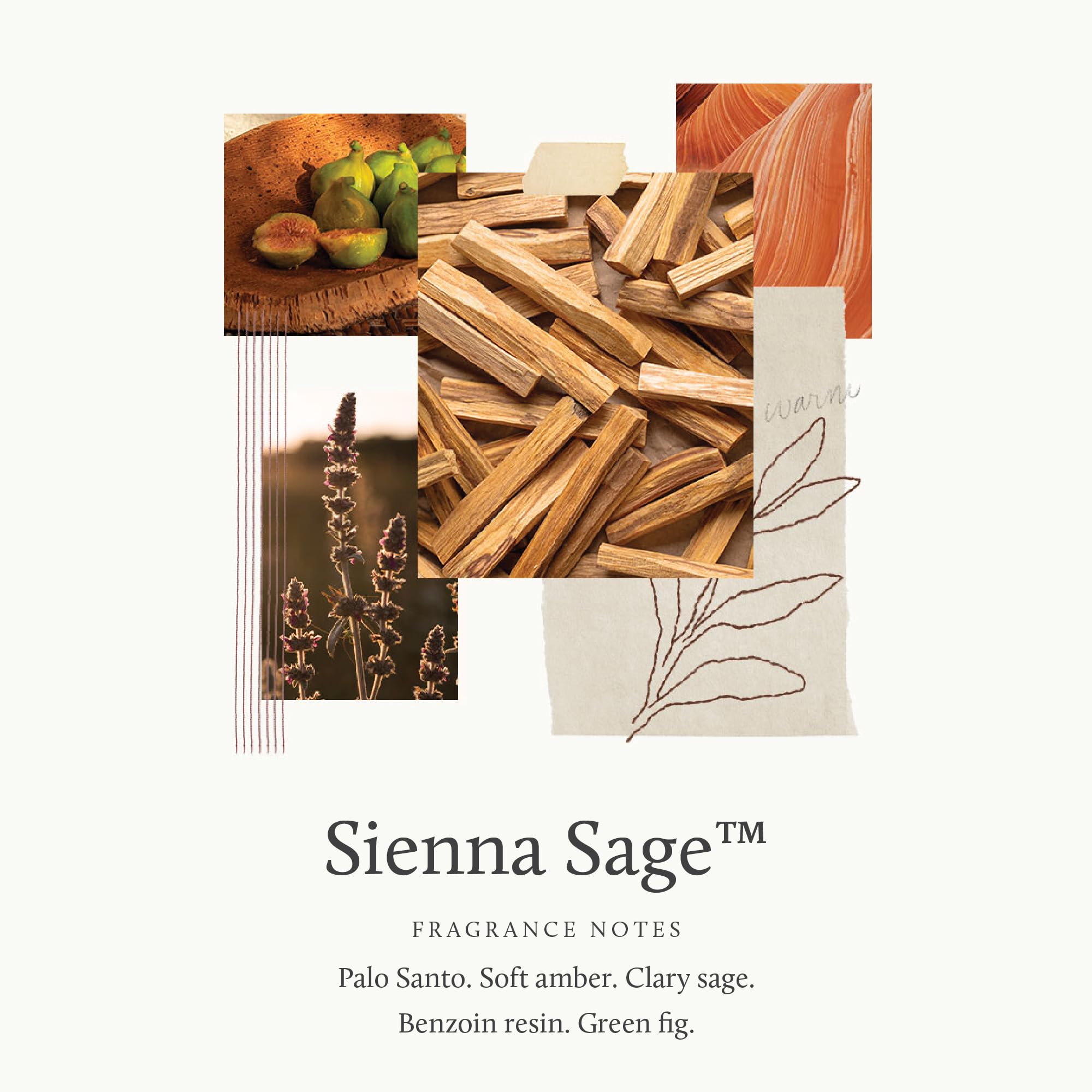 Thymes Sienna Sage Moisturizing Body Wash with Pump – Hydrating Bath Soap