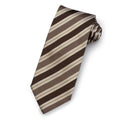 The Arundel Silk Stripe Tie