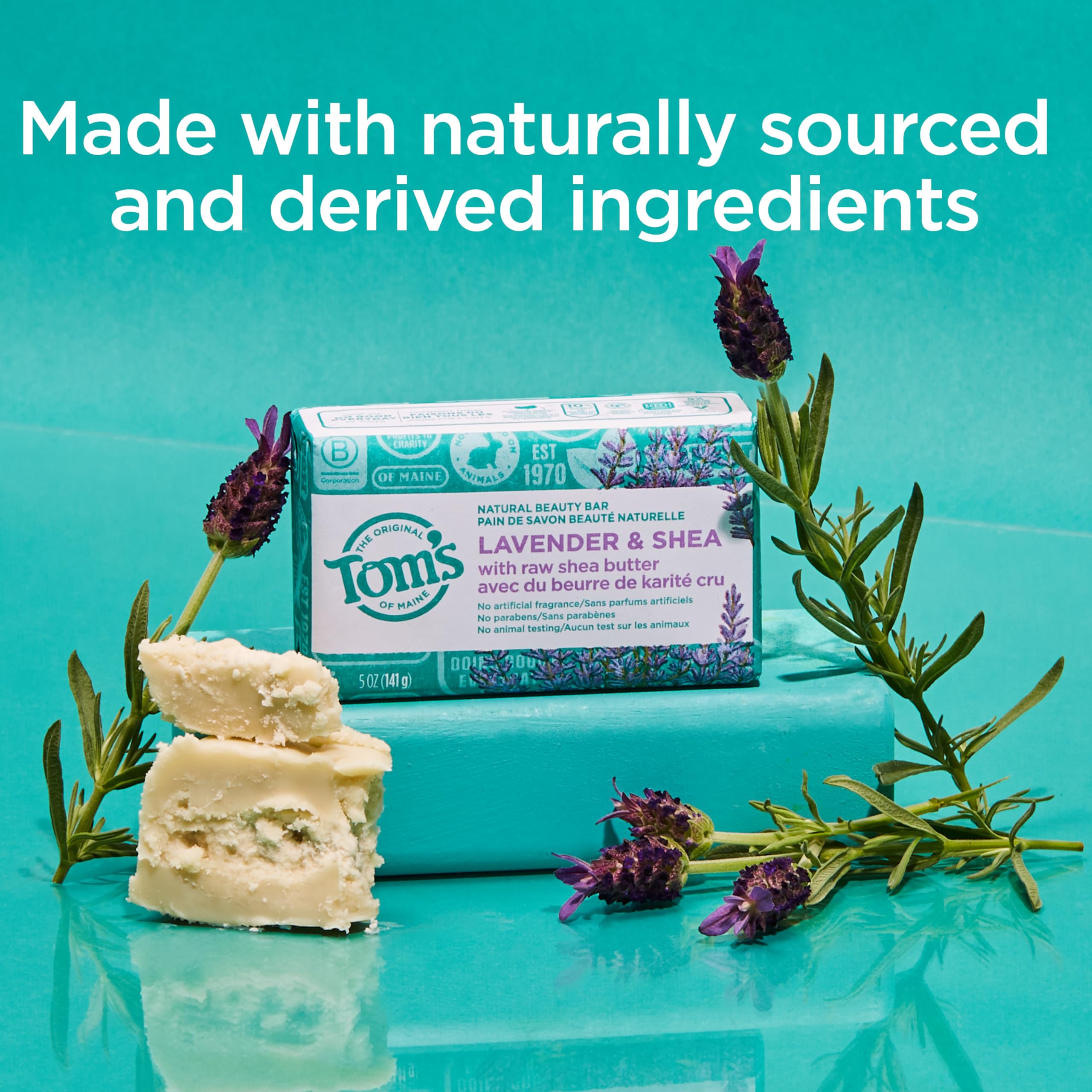Tom's of Maine Lavender & Shea Natural Beauty Bar Soap – 6-Pack, 5 oz Bars (Packaging May Vary)
