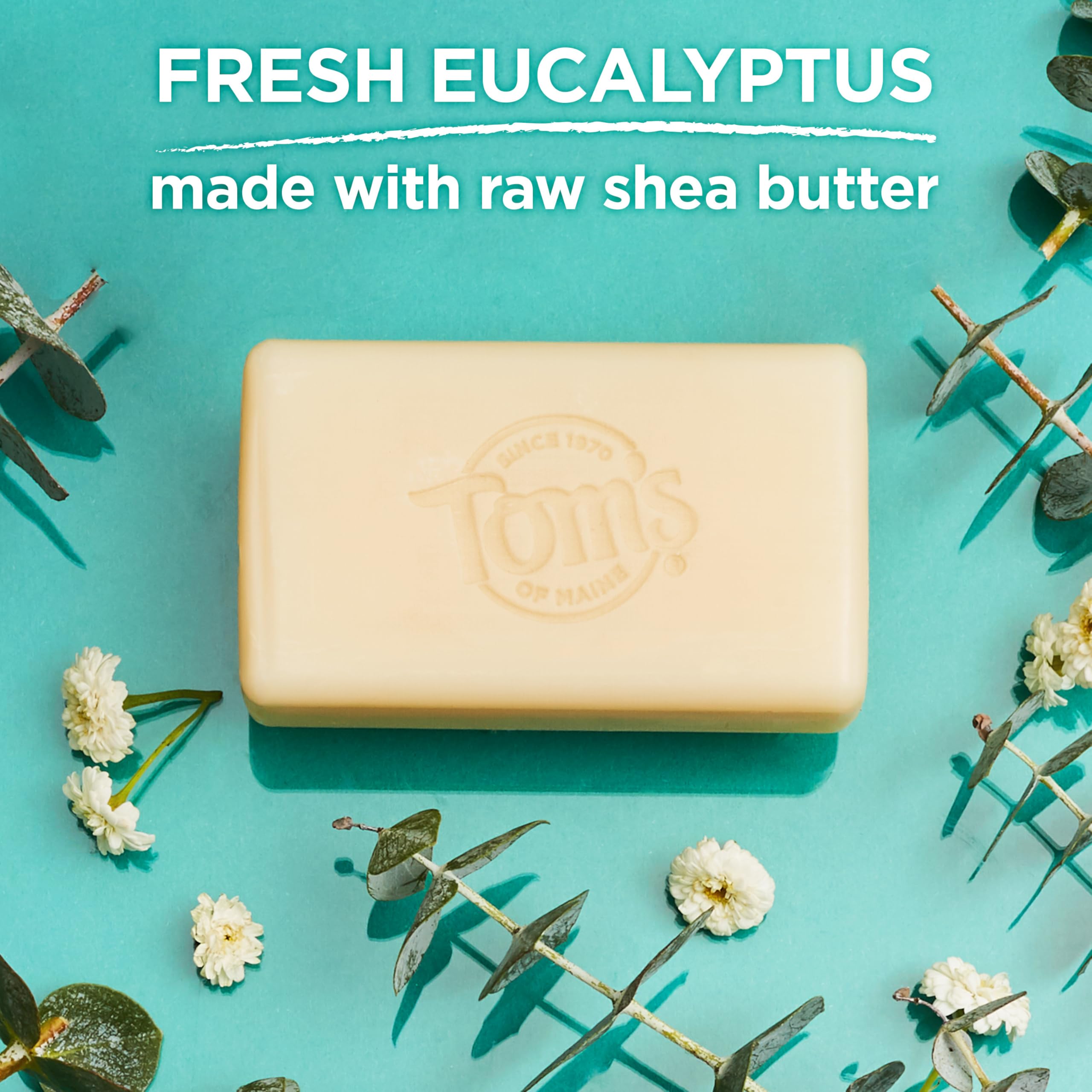 Tom's of Maine Moisturizing Natural Beauty Bar Soap - Fresh Eucalyptus, 5 oz (Pack of 6)
