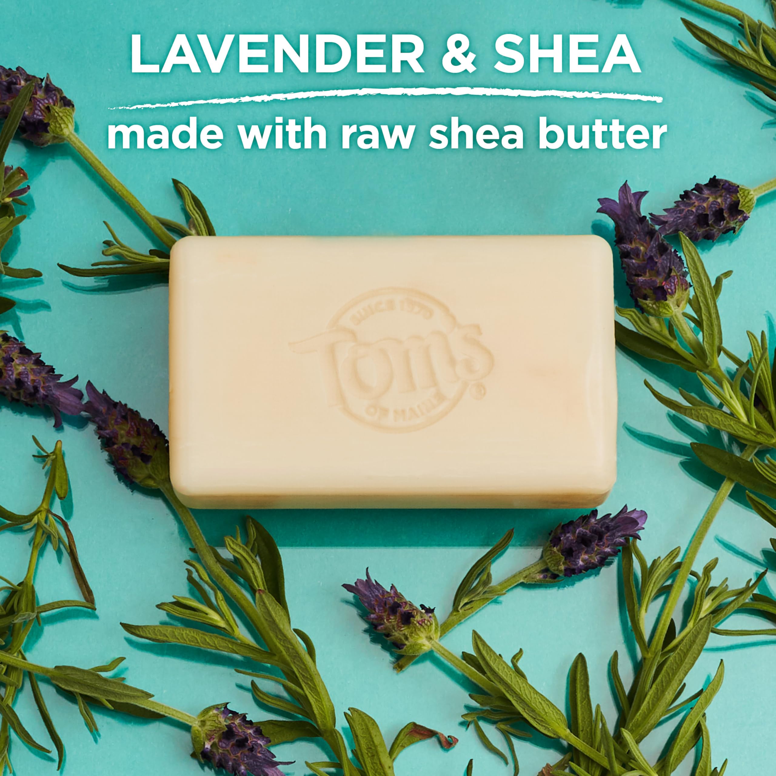 Tom's of Maine Lavender & Shea Natural Beauty Bar Soap – 6-Pack, 5 oz Bars (Packaging May Vary)
