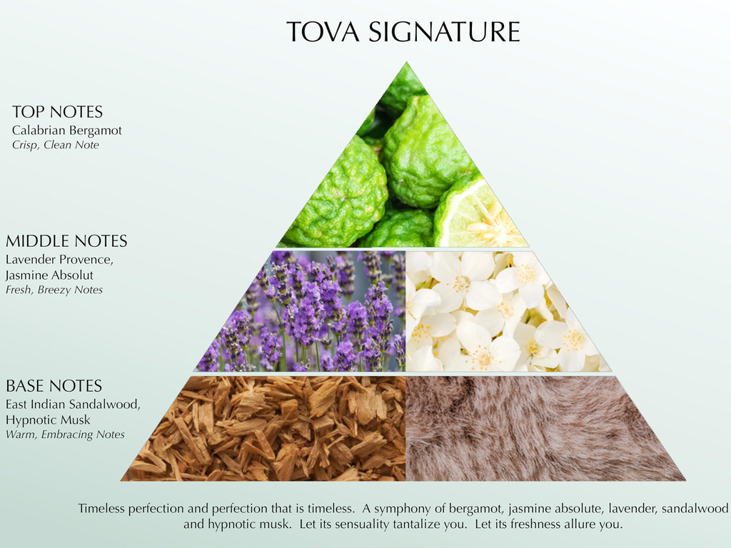 Tova Signature Body Velvet Lotion – Advanced Hydration for Women | Glow-Enhancing, USA-Made & Cruelty-Free – 6.7 fl oz