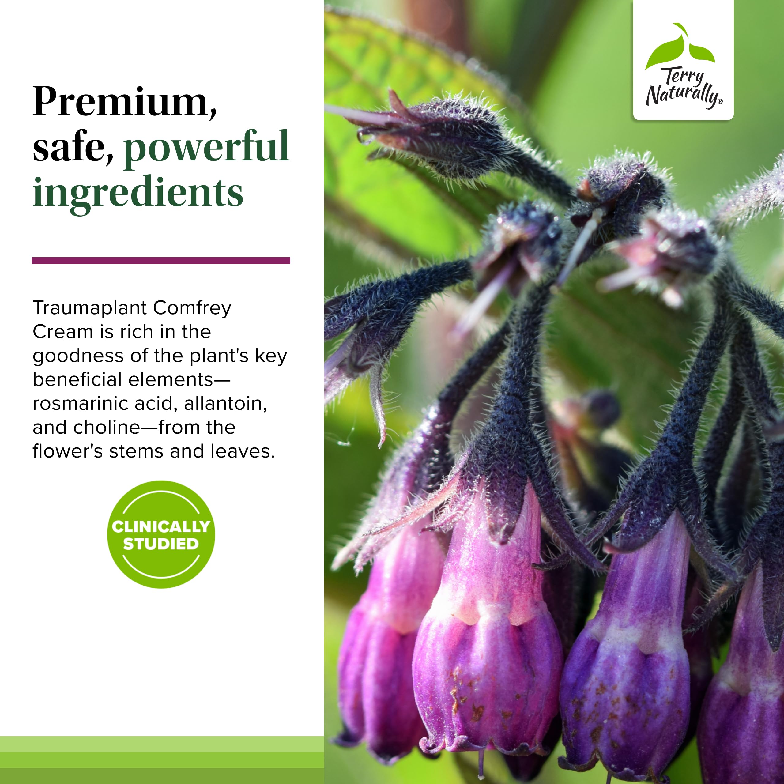 Terry Naturally Traumaplant Comfrey Cream – Non-Staining, PA-Free, 2-Pack