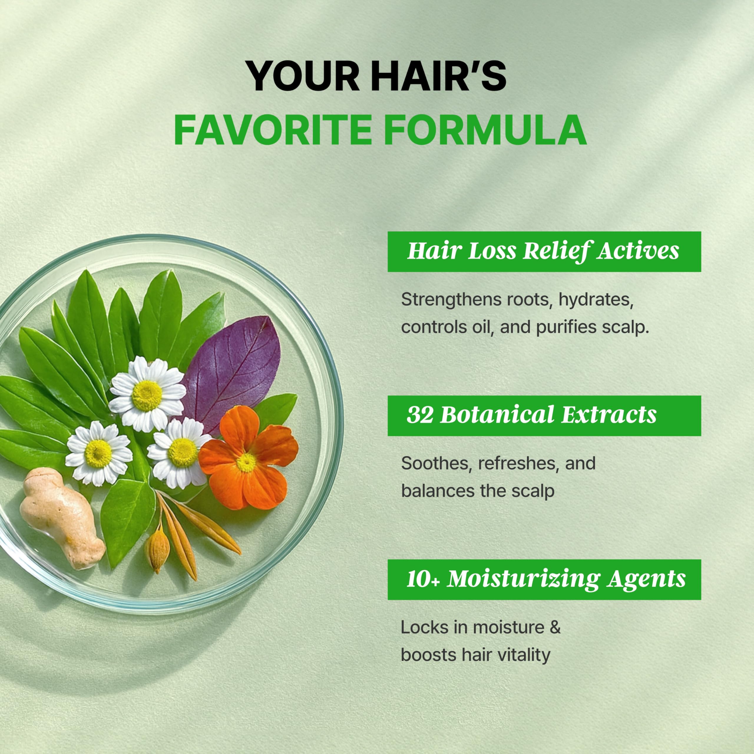 TS SHAMPOO Plus Biotin – Hair Loss Prevention & Damaged Hair Therapy (16.9 fl oz)
