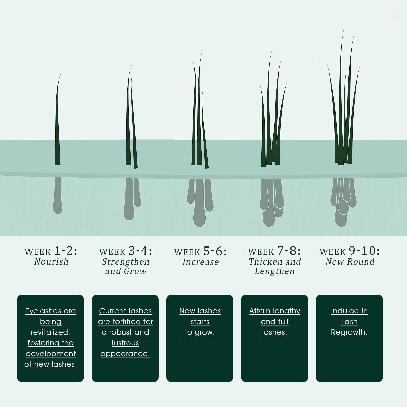 TUDPA Eyelash Growth Serum — Longer, Thicker Lashes Naturally | Vegan & Cruty-Free