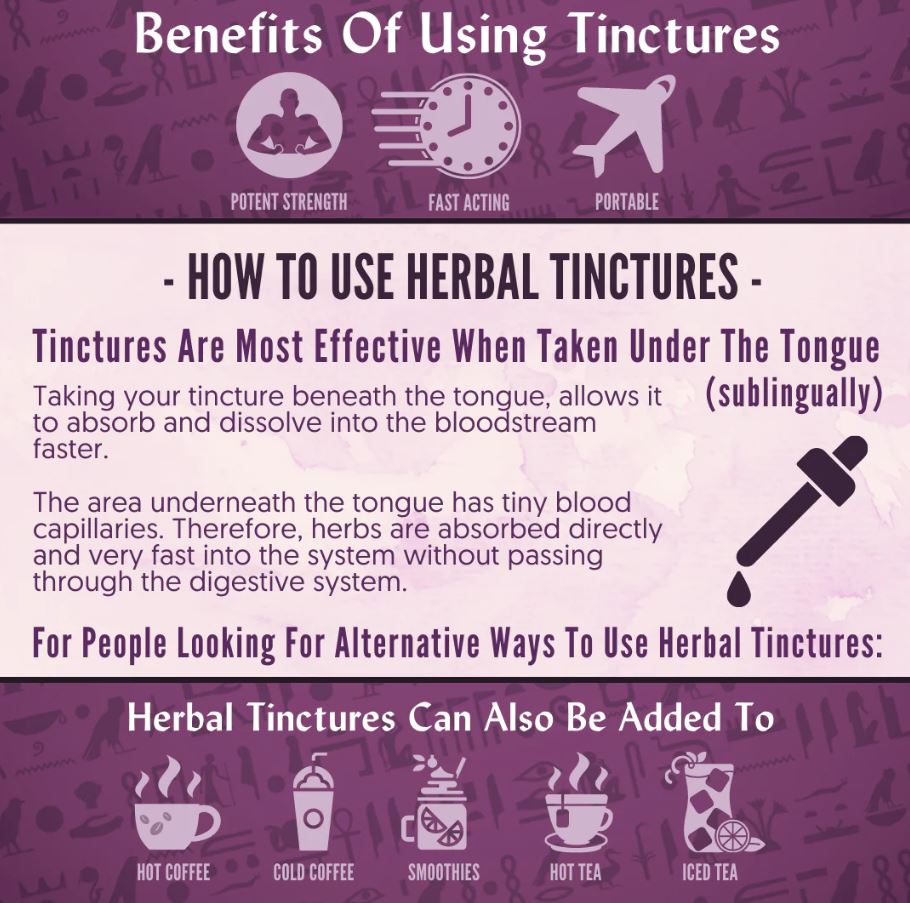 Organic Tulsi Tincture for STRESS, NERVOUS SYSTEM & MENTAL BALANCE