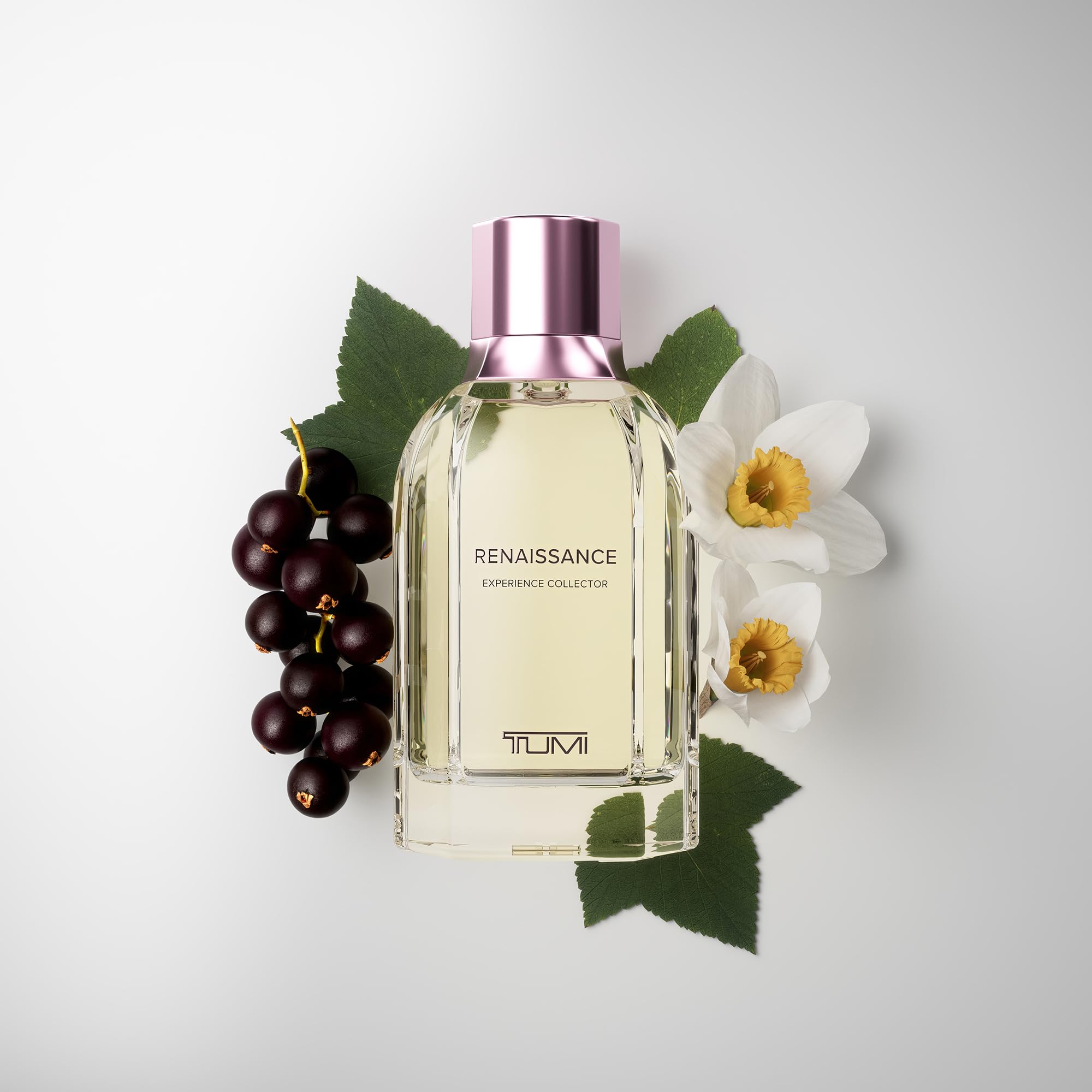 TUMI Renaissance Experience Collector ExDP – 3.4 fl oz / 100 ml | Travel-Inspired Fragrance