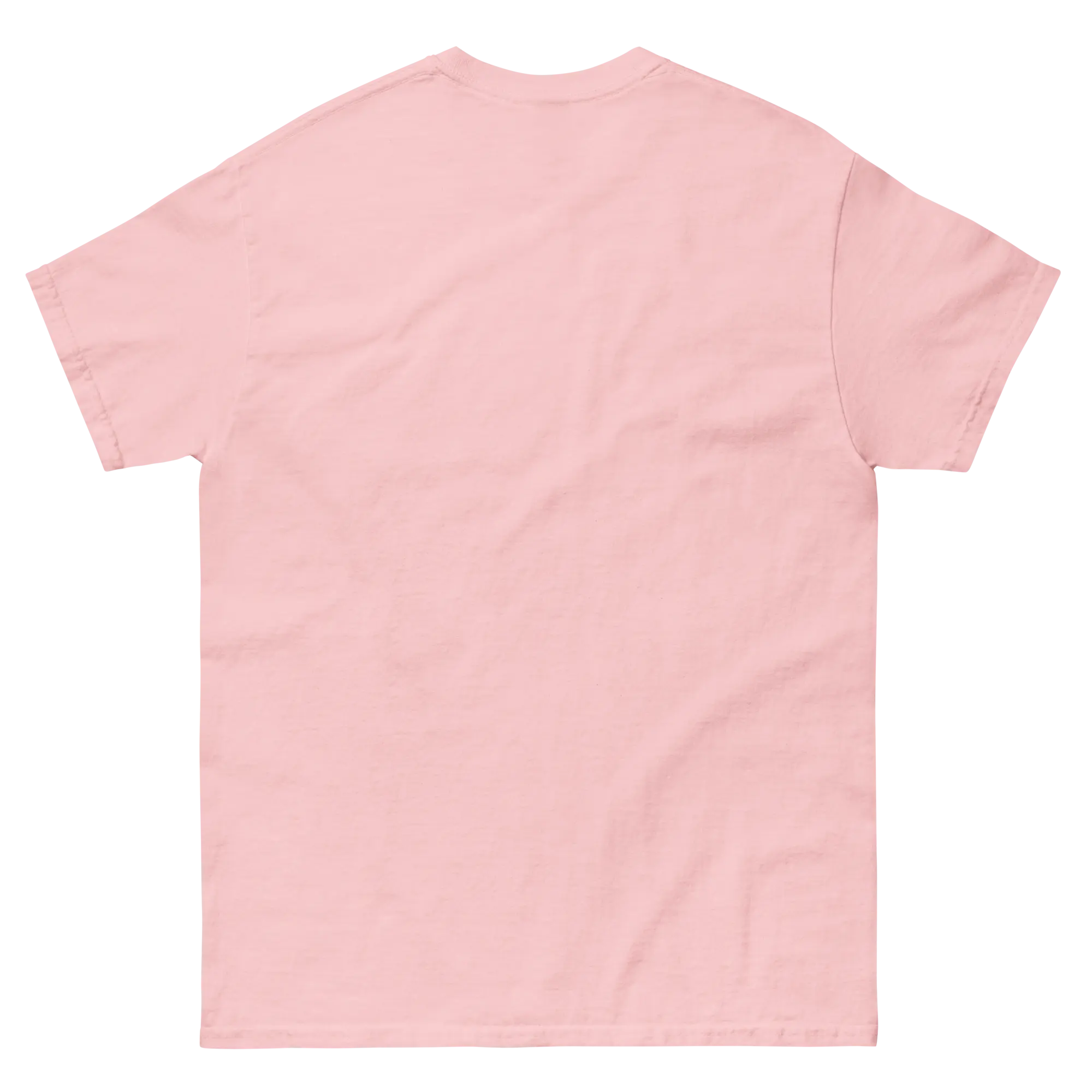 Nusra Unisex classic tee