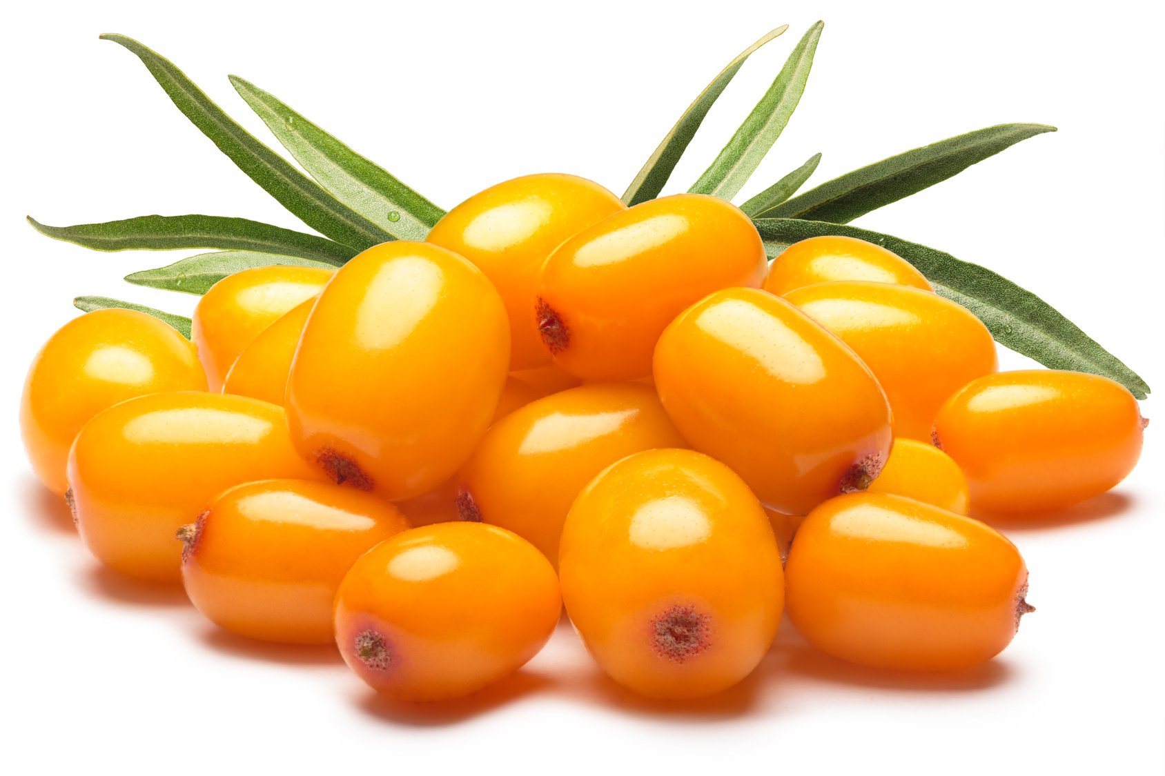 US Organic Sea Buckthorn Berry Oil – 100% Pure, USDA Organic, CO2 Extracted, 2 oz