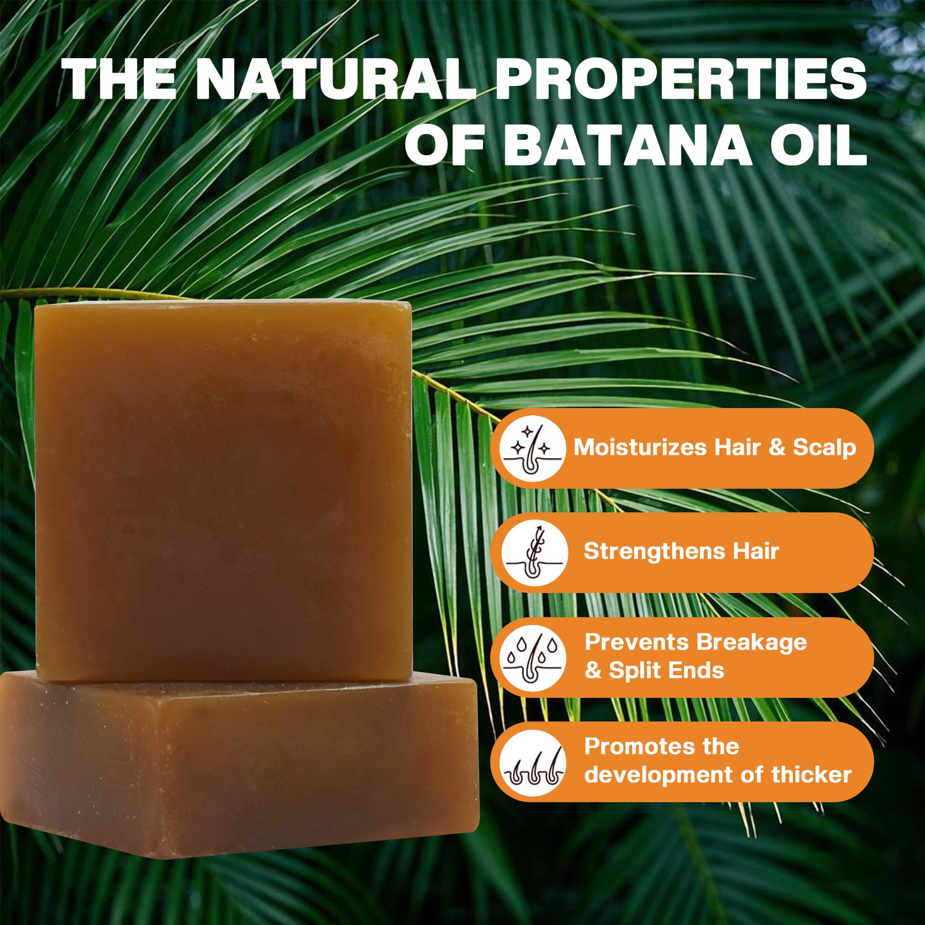 VAEYAE Batana Oil Solid Shampoo & Conditioner Bar — 2-Piece Set for All Hair Types