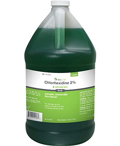 Vet One Chlorhexidine Antibacterial Body Wash with Aloe Vera – 1 Gallon, Face Scrub & Body Scrub, Antiseptic Skin Cleanser