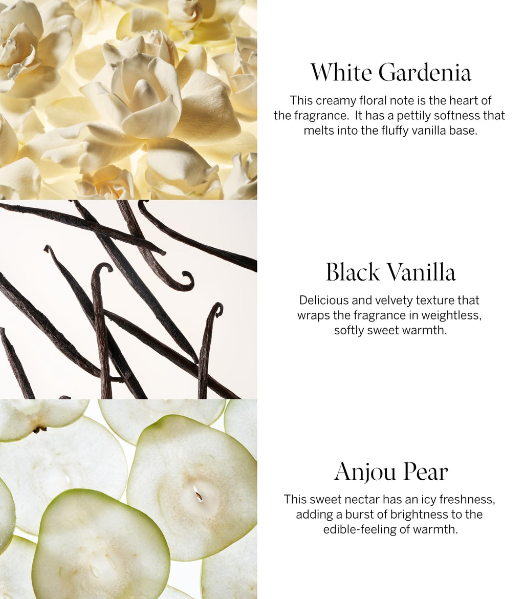 Victoria's Secret Tease Eau de Parfum – White Gardenia, Anjou Pear & Black Vanilla (3.4 oz)