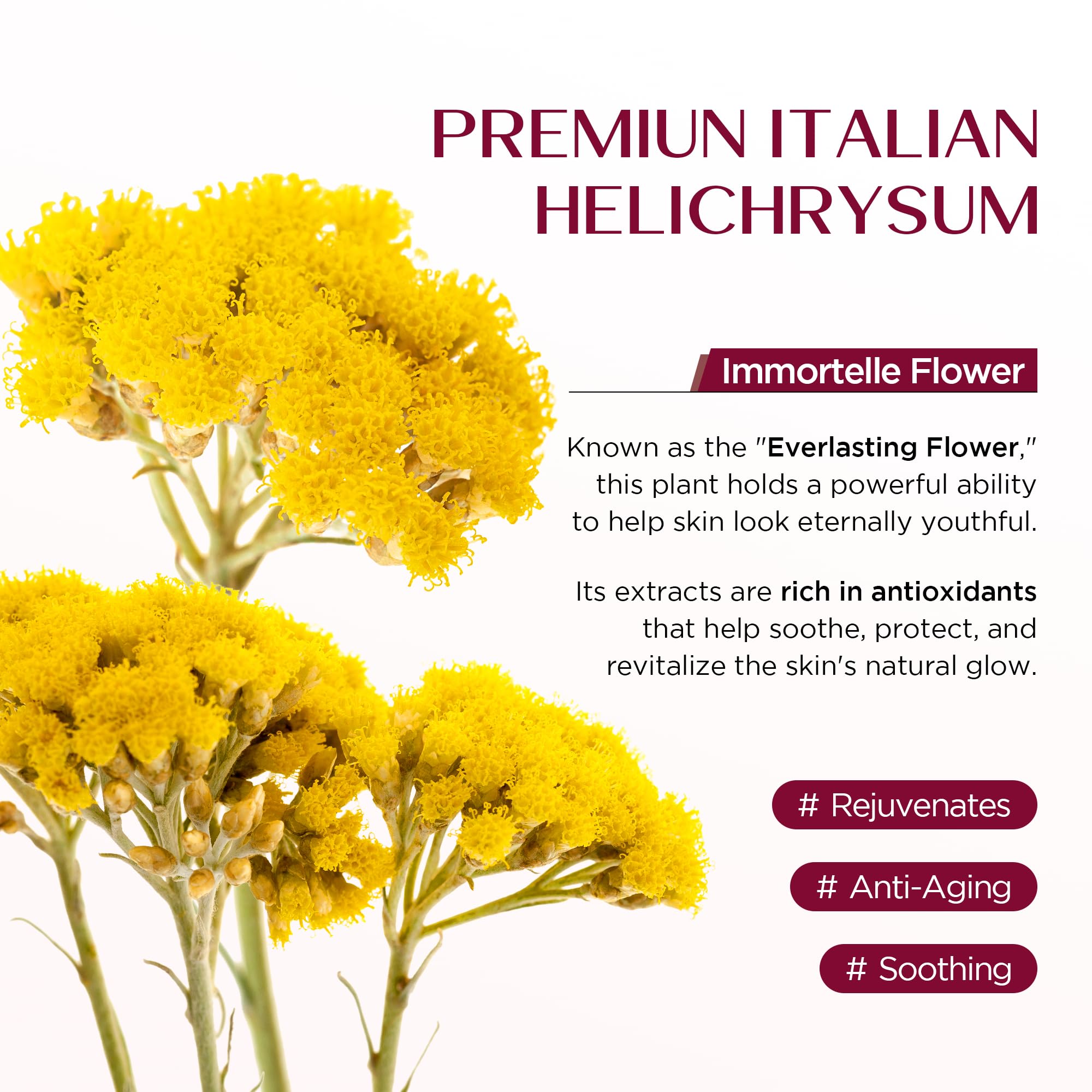 Vigority Helichrysum Balm – Soothes Fragile Skin with Arnica & Calendula, 3.4 oz