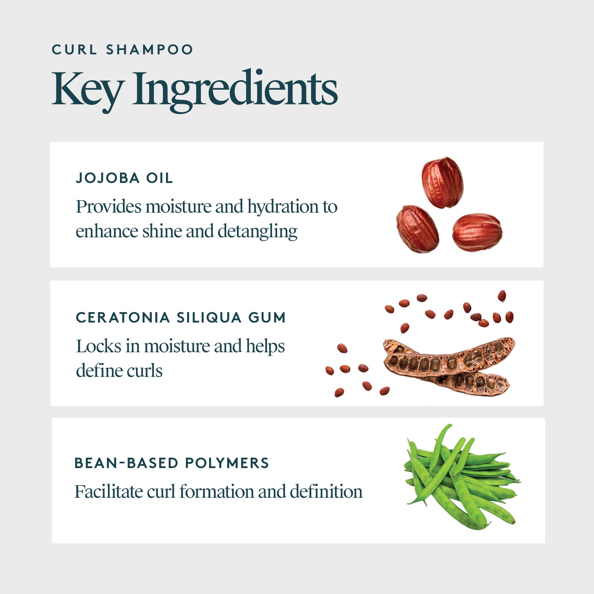 VIRTUE Curl Sulfate Free Shampoo with Jojoba Oil – Hydrates, Frizz Control & Color Safe