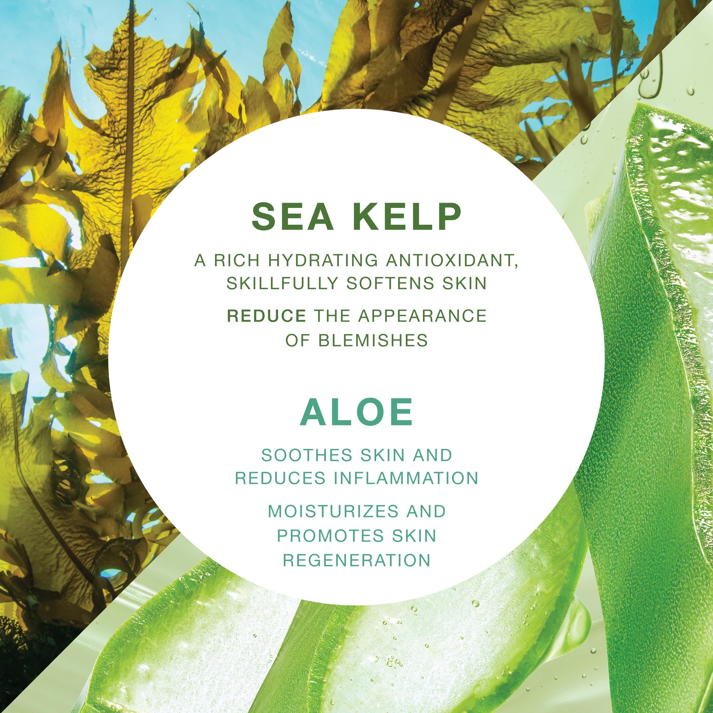 VITAMINS AND SEA BEAUTY Moisturizing Body Wash with Sea Kelp & Aloe Vera – Hydrating Shower Gel (33.8 fl oz)