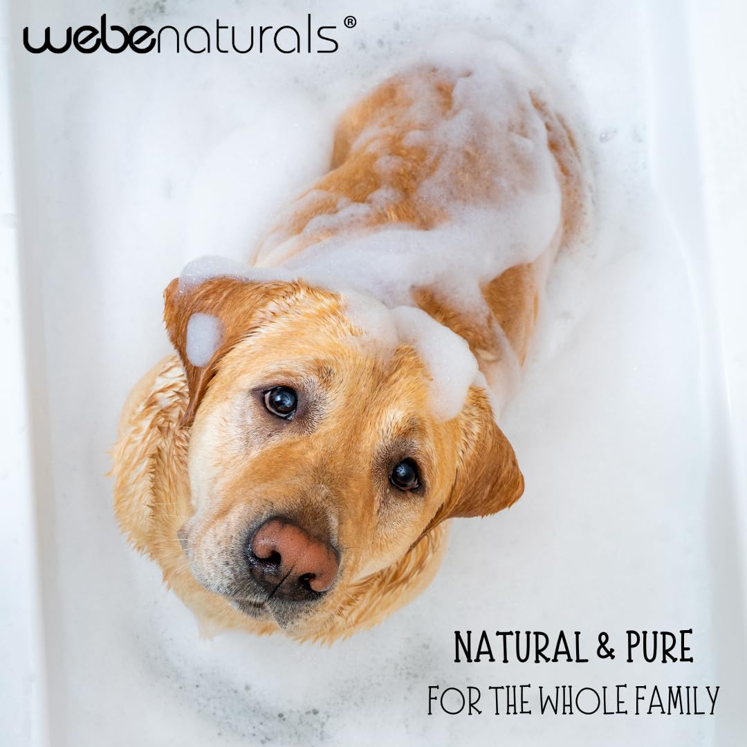 WEBE Pure Unscented Castile Liquid Soap Refill, 64 oz – Vegan, Gluten-Free, Non-GMO | Multi-Use Cleanser