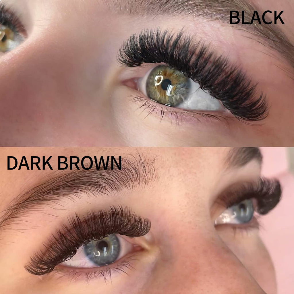 Wendy Lashes Volume 10D Brown Premade Fans 500pcs – 0.07mm, 9-16mm Mixed, C/D Curl