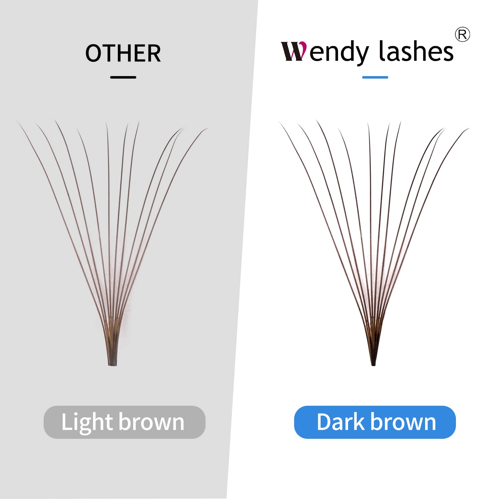 Wendy Lashes Volume 10D Brown Premade Fans 500pcs – 0.07mm, 9-16mm Mixed, C/D Curl