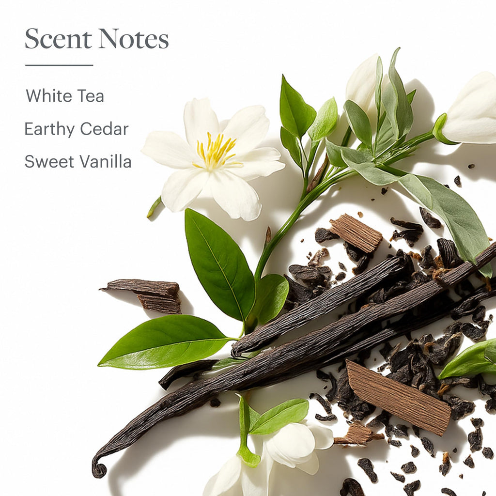 Westin White Tea Aloe Body Lotion | Hotel Spa Hydration, 8 oz Pump