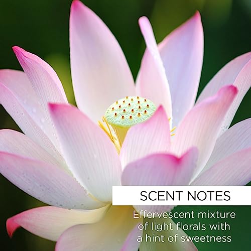 Whish Nourishing Dew Mask with Rose Hip Oil & Lotus Oil – Hydration, Anti-Aging & Soothing Skin