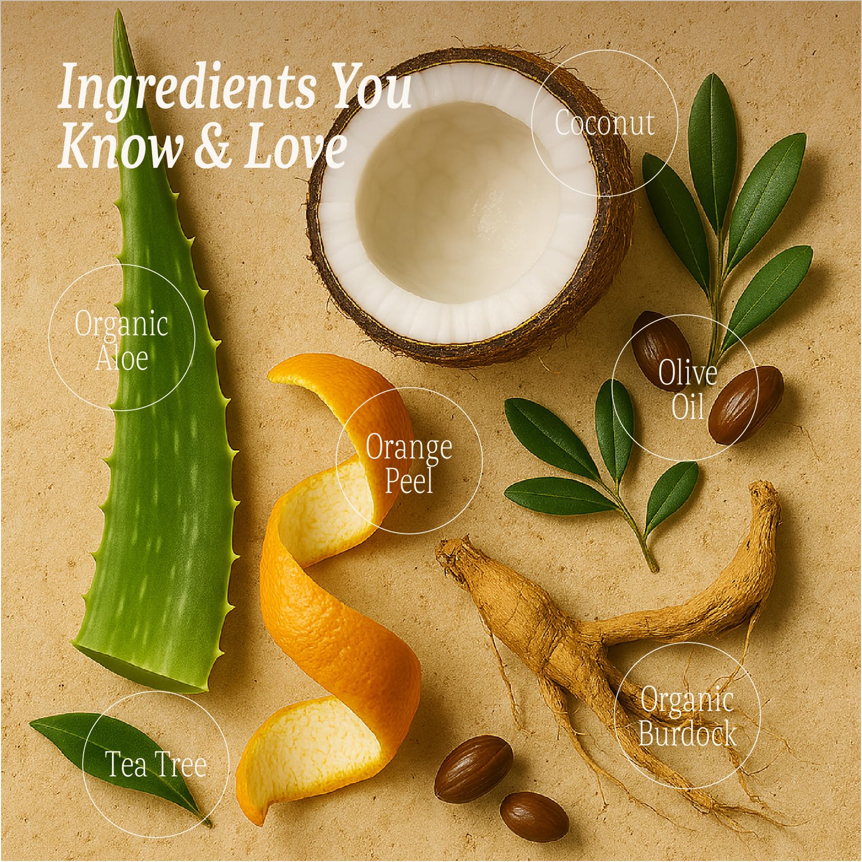 With Love AHA/BHA Daily Exfoliating Face Wash - Gentle Acne-Prone Skin Cleanser