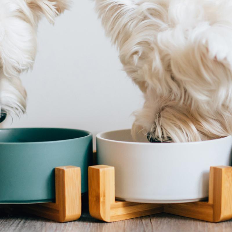 XI15 Pet Food Bowl
