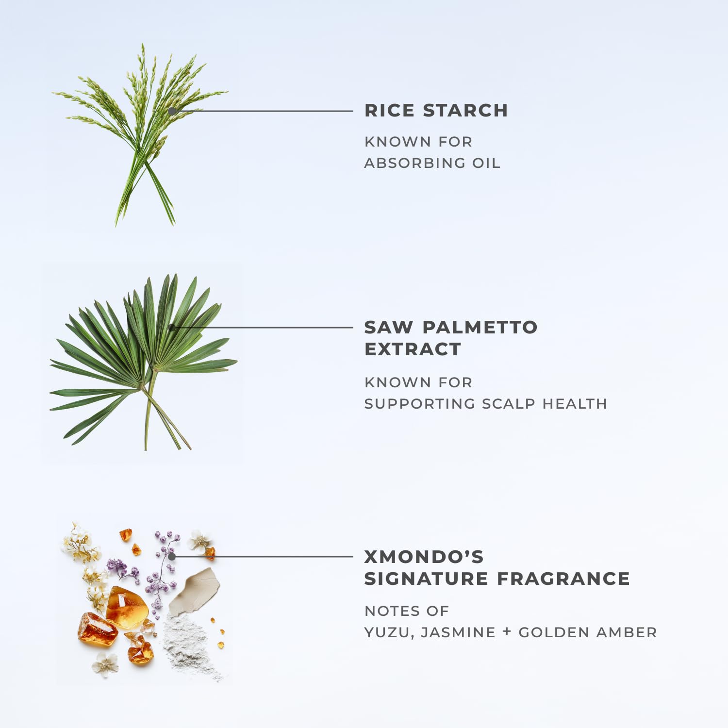 XMONDO Hair BOOST X Dry Shampoo – Saw Palmetto for Scalp Care, Talc-Free, Dermatologist Tested, 5 oz
