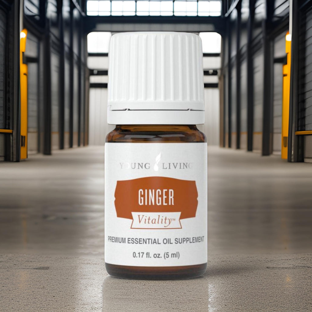 Young Living Ginger Vitality Essential Oil 5ml – Spicy Flavor for Cooking & Digestive Support