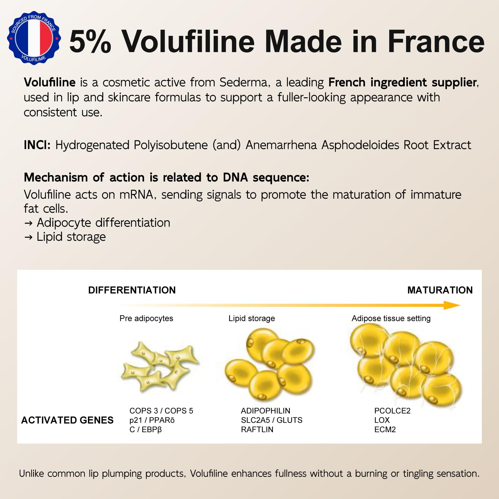 YouthVibe 5% Volufiline Lip Plumper – Gentle Daily Plumping with Squalane & Shea Butter