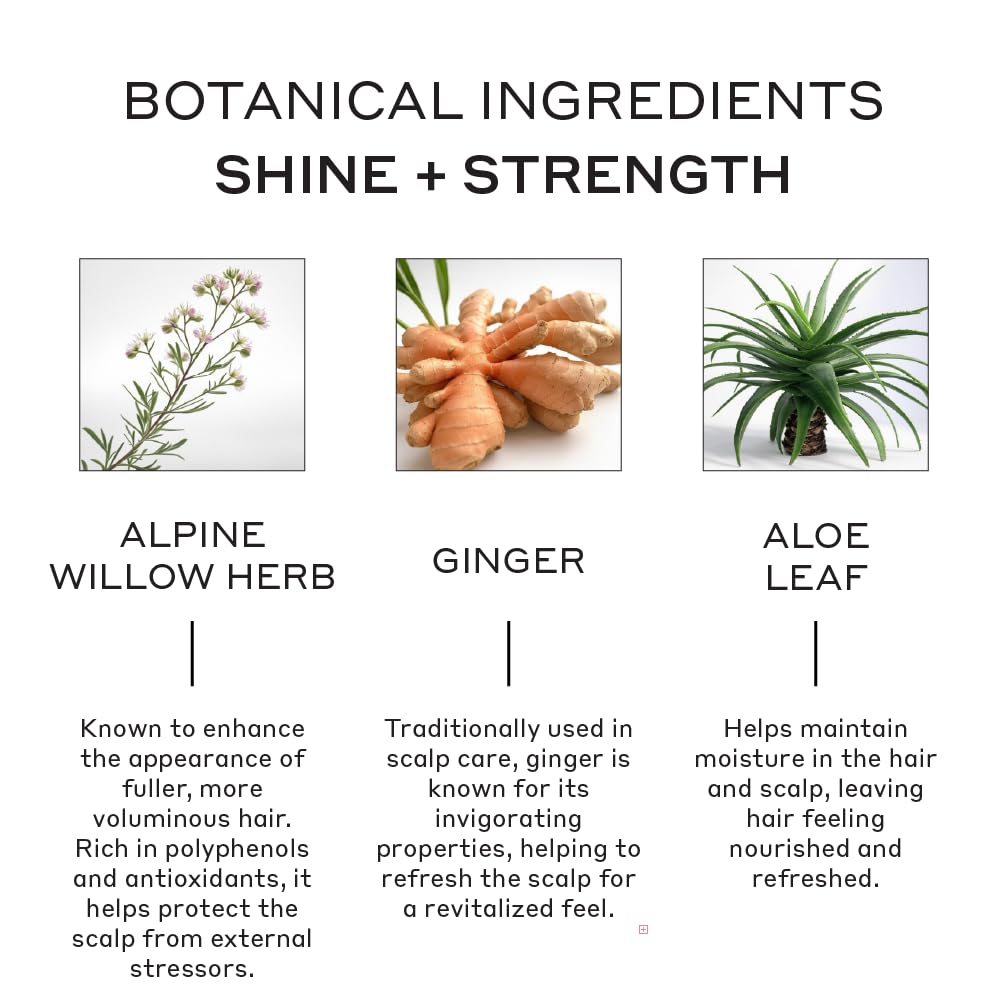 Zenagen Evolve Repair + Protect Nourishing Conditioner — Plant-Based, Color-Safe, 6.75 oz