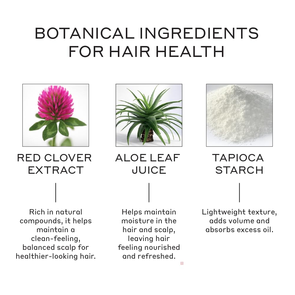 ZENAGEN Texturizing Powder — Root Volume & Texture, 9 g