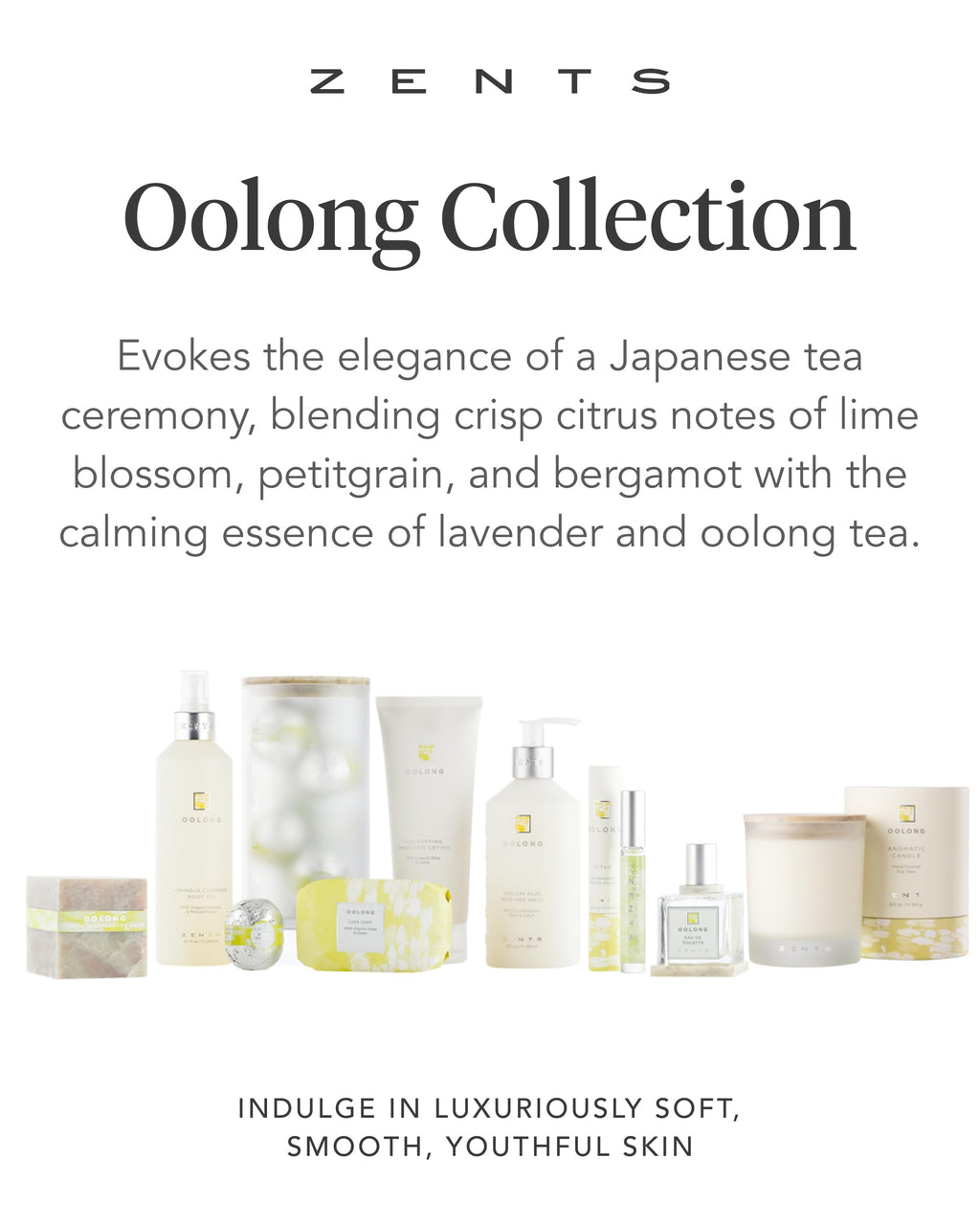 Zents Age-Defying Probiotic Lotion Oolong | Hyaluronic Acid & Organic Shea Butter | 6.4 oz