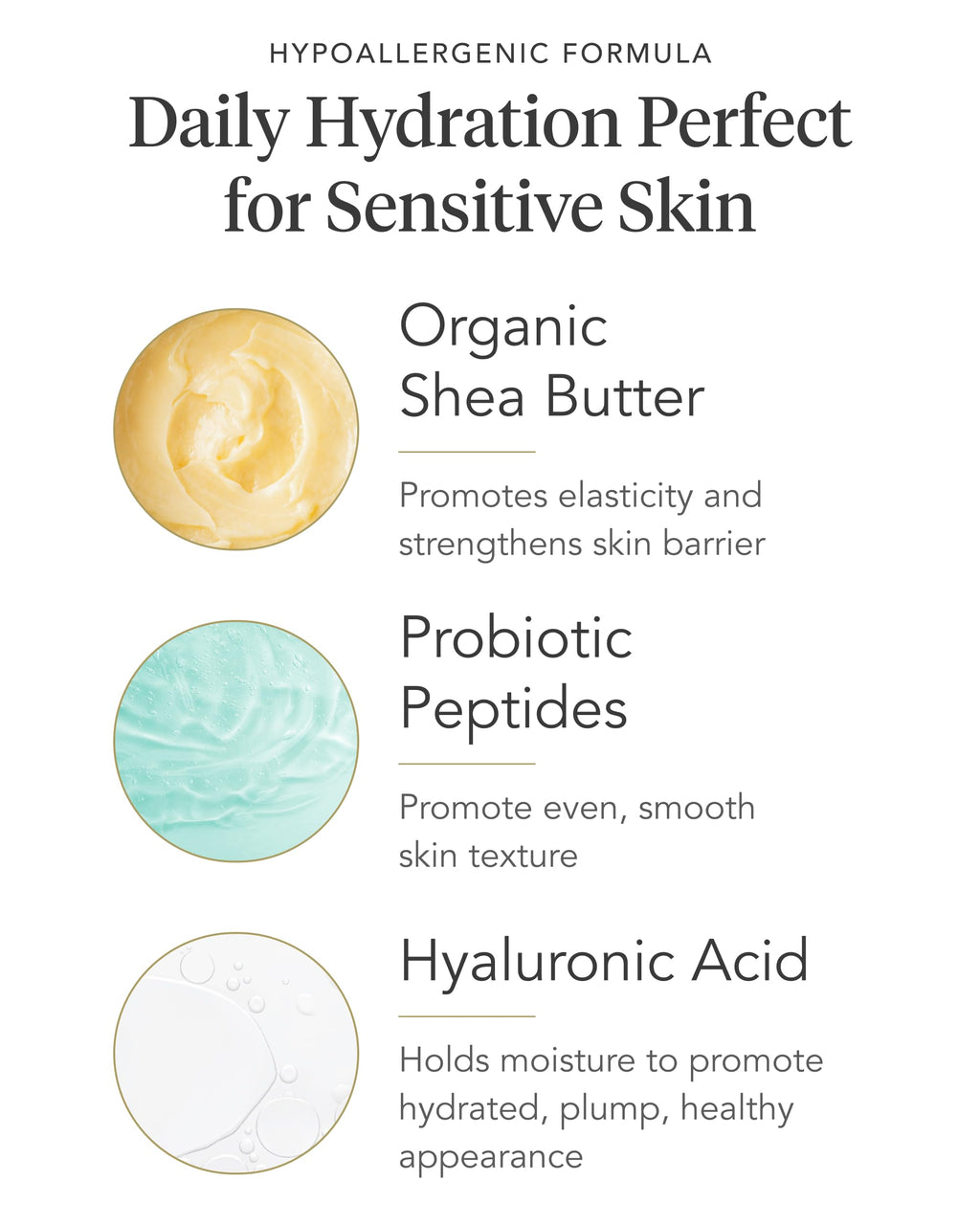 Zents Age-Defying Probiotic Lotion Oolong | Hyaluronic Acid & Organic Shea Butter | 6.4 oz