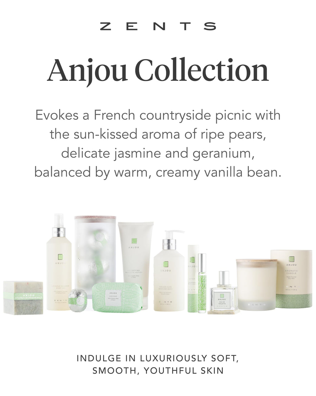 Zents Age-Defying Probiotic Lotion Anjou – Hyaluronic Acid, Shea Butter, 6.4 fl oz