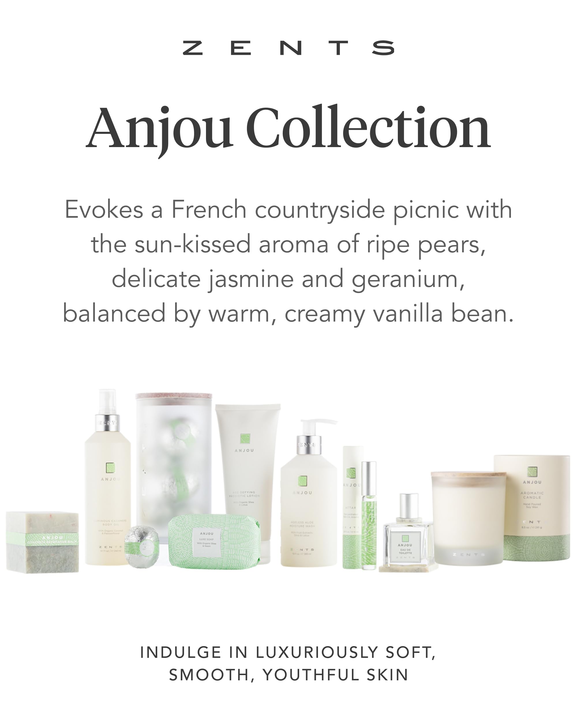 Zents Age-Defying Probiotic Lotion Anjou – Hyaluronic Acid, Shea Butter, 6.4 fl oz