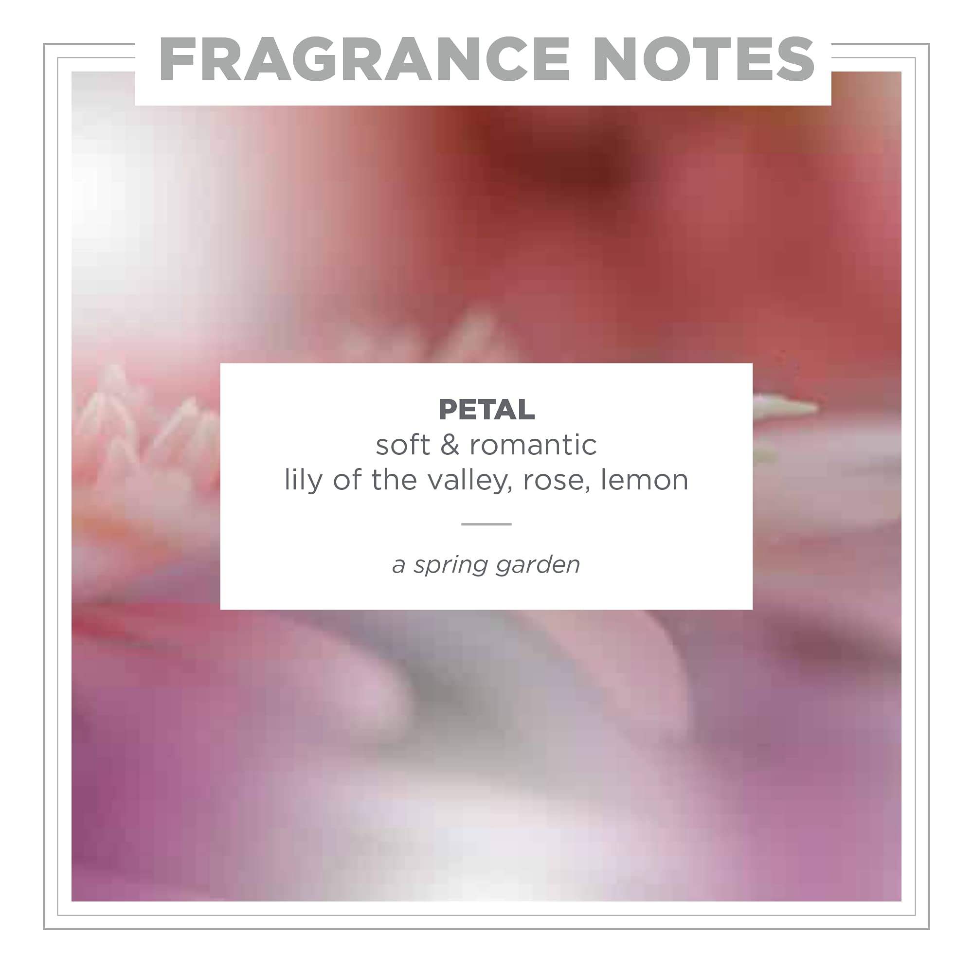 Zents Concreta Firming Repair Balm & Solid Parfum (Petal) | Moisturizing Shea Butter & Coconut Oil | 1.25 fl oz