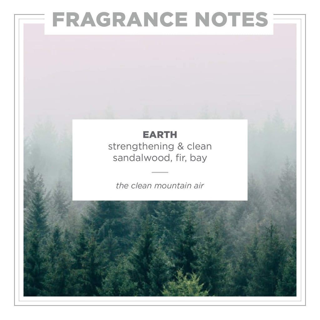 ZENTS Hand & Body Wash Earth Fragrance | Hydrating Cleanser with Organic Shea Butter & Aloe | 10 oz