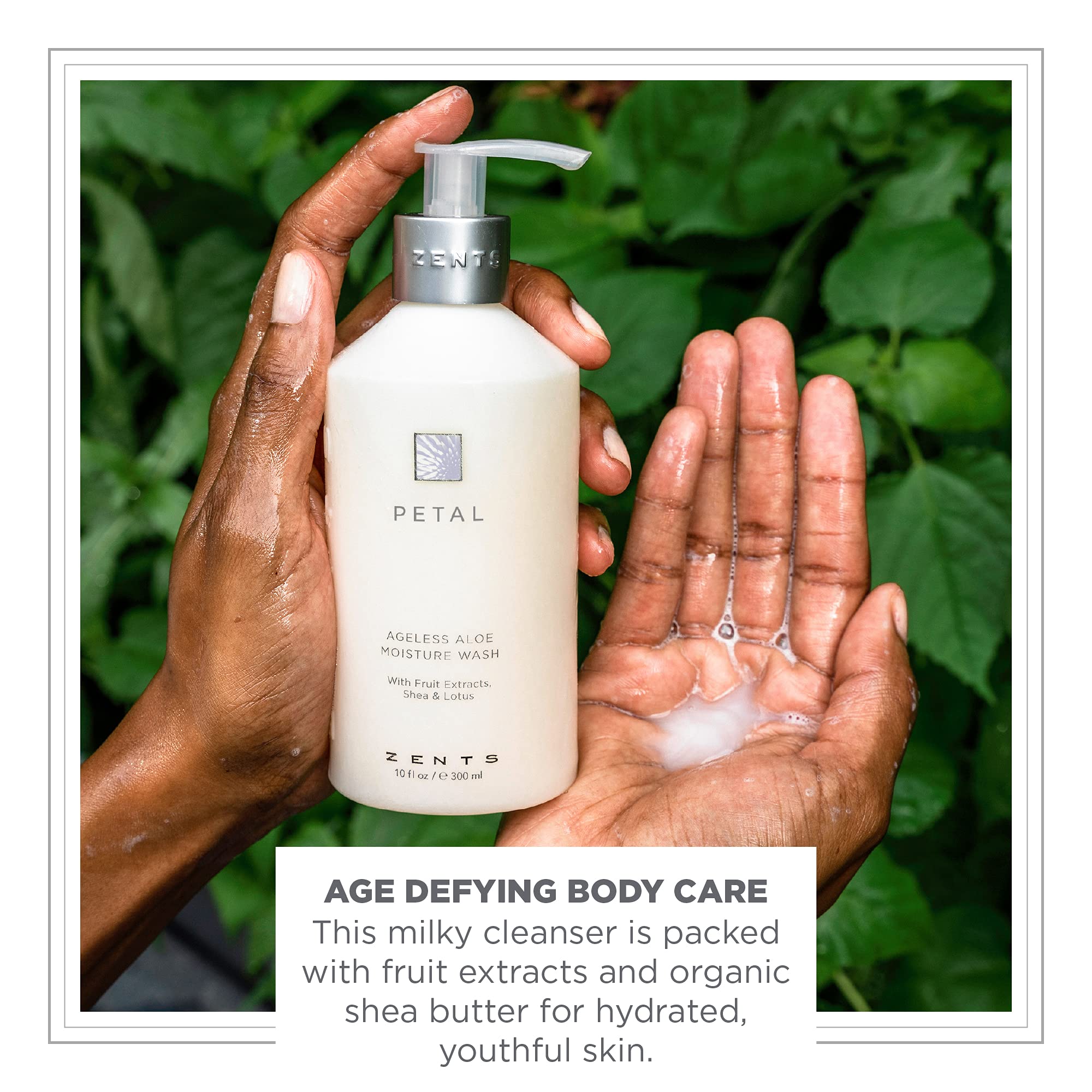 ZENTS Hand & Body Wash (Petal) – Hydrating Cleanser with Organic Shea Butter & Aloe, 10 oz